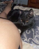 Анкета проститутки Снежана - метро Донской, возраст - 23